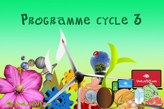 Programme-sciences-et-technologie-cycle-3-ecole-college.jpg