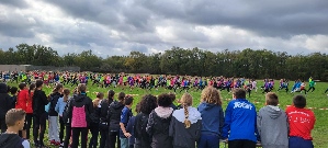 Une grande densité de coureurs !