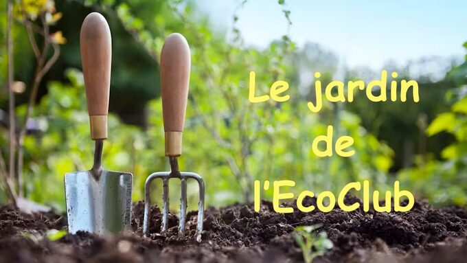 outils_potager_.jpg - copie.jpg