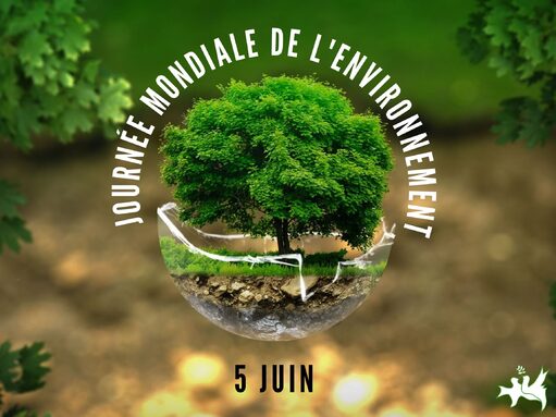 Journée-mondiale-de-lenvironnement.jpeg